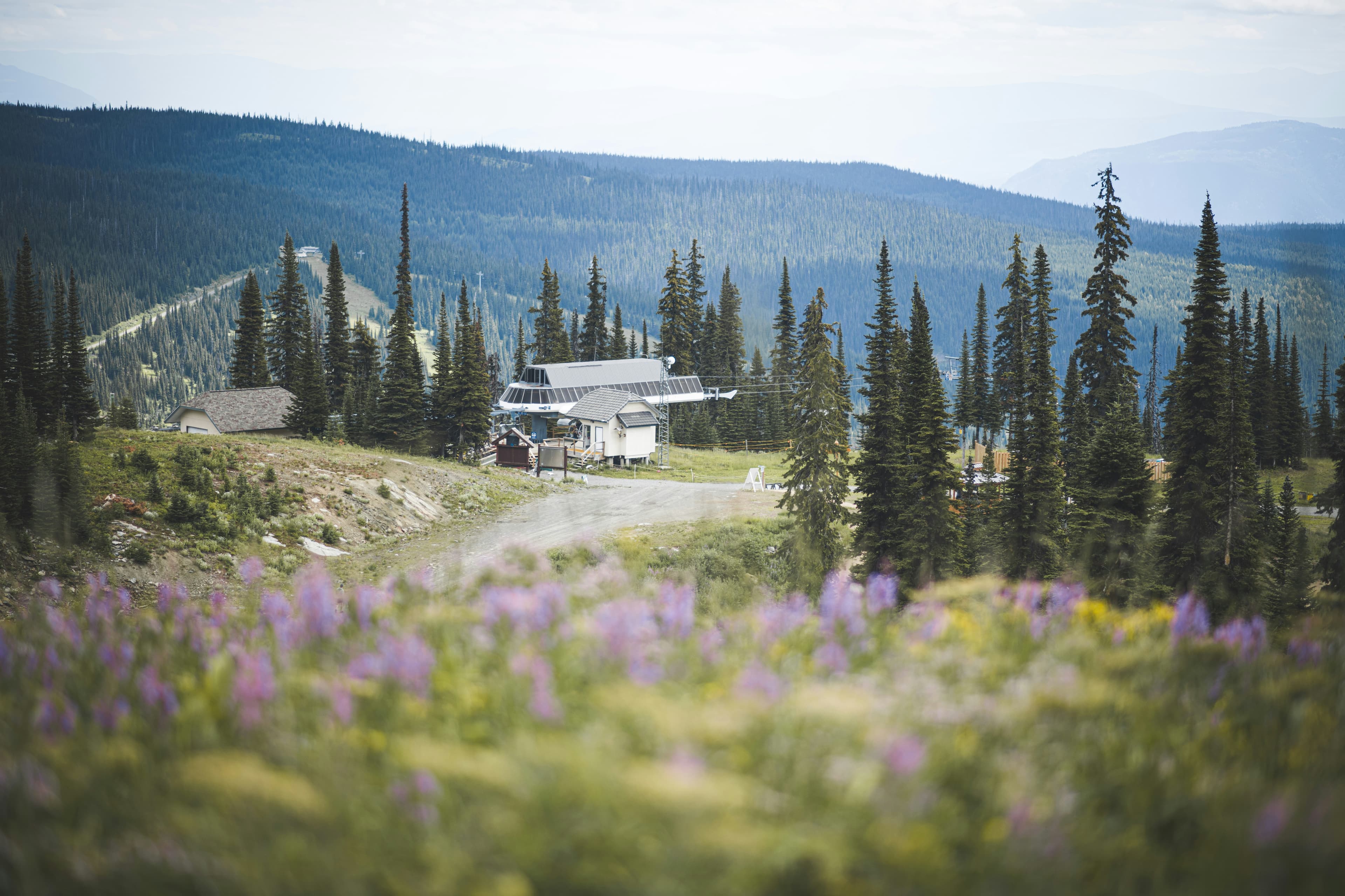 A ski lift in summer with the alpine meadow and mountain range surrounding