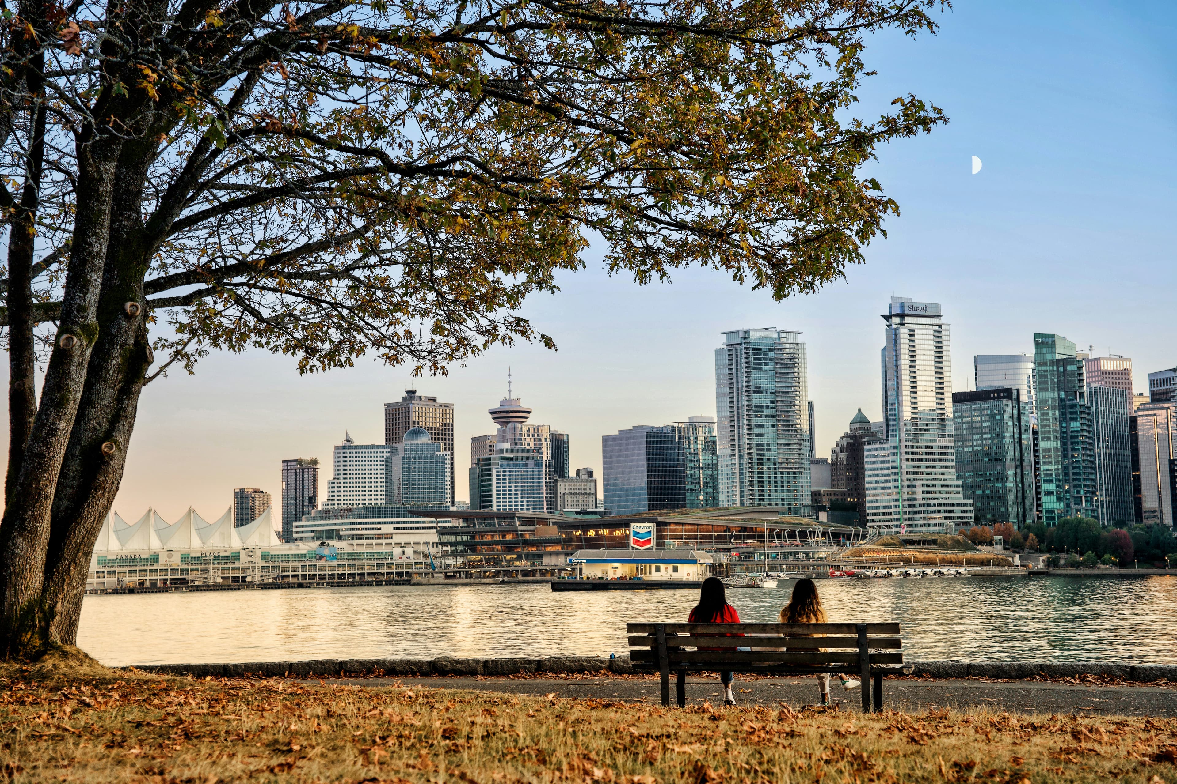 Two people sitting on a bench on Stanley Park in the fall with leaves around them looking at the city across the water