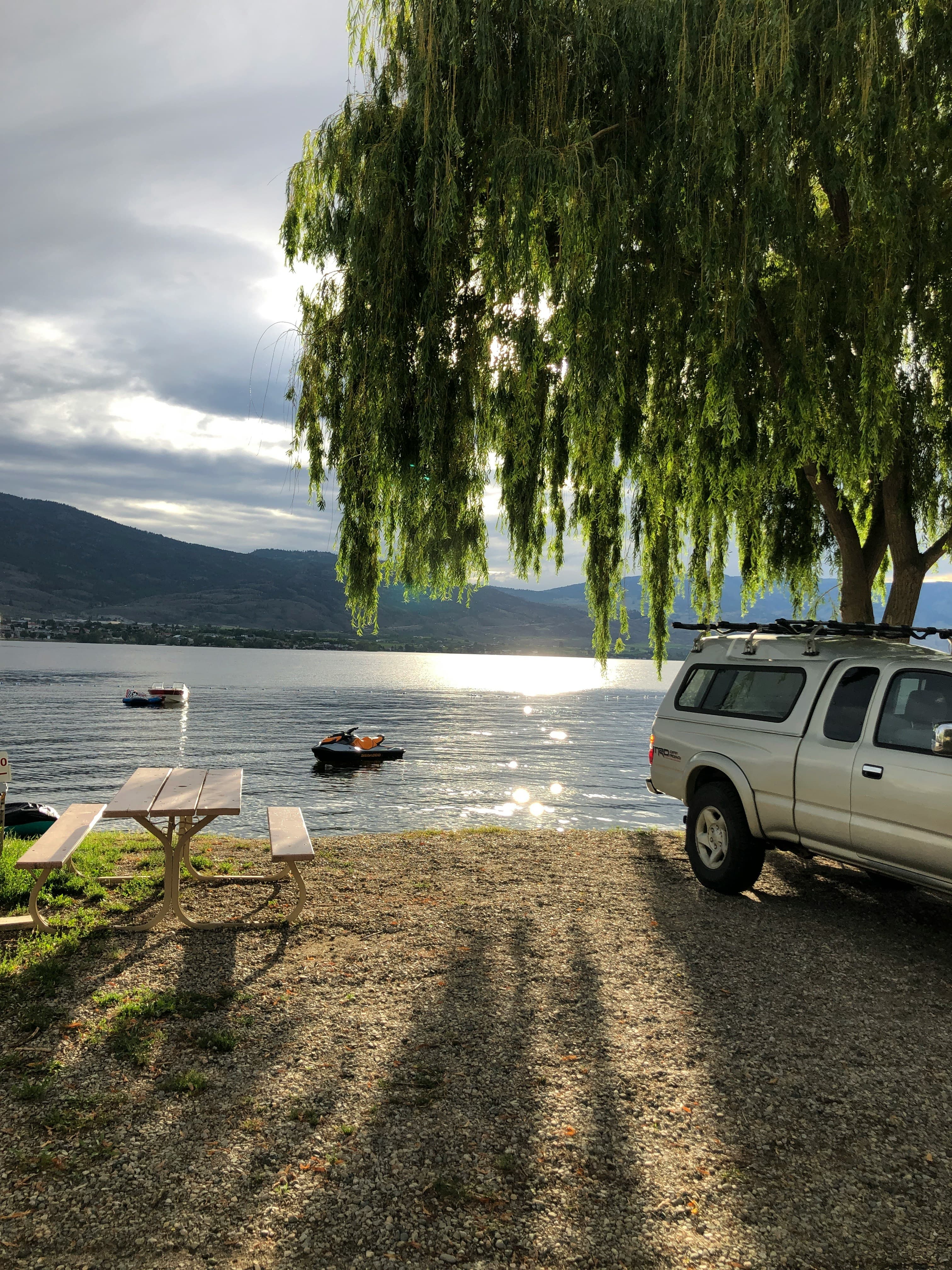 A sunny evening on the lake with boats out on the water and an overhanging tree and picnic table on the beach