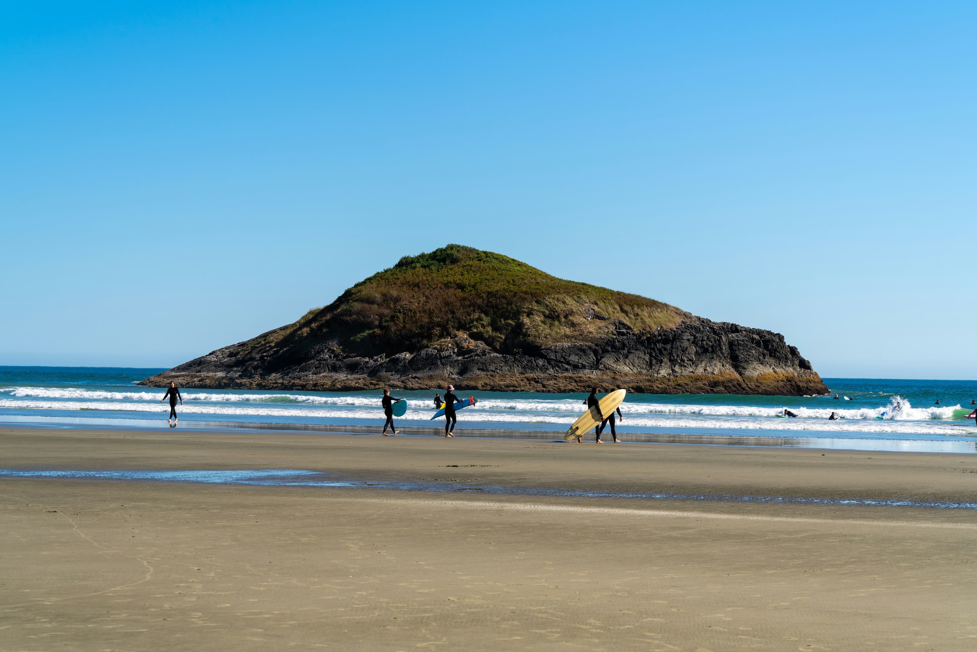 A group of surfers on the beach in Tofino heading towards the water with an island off the shore