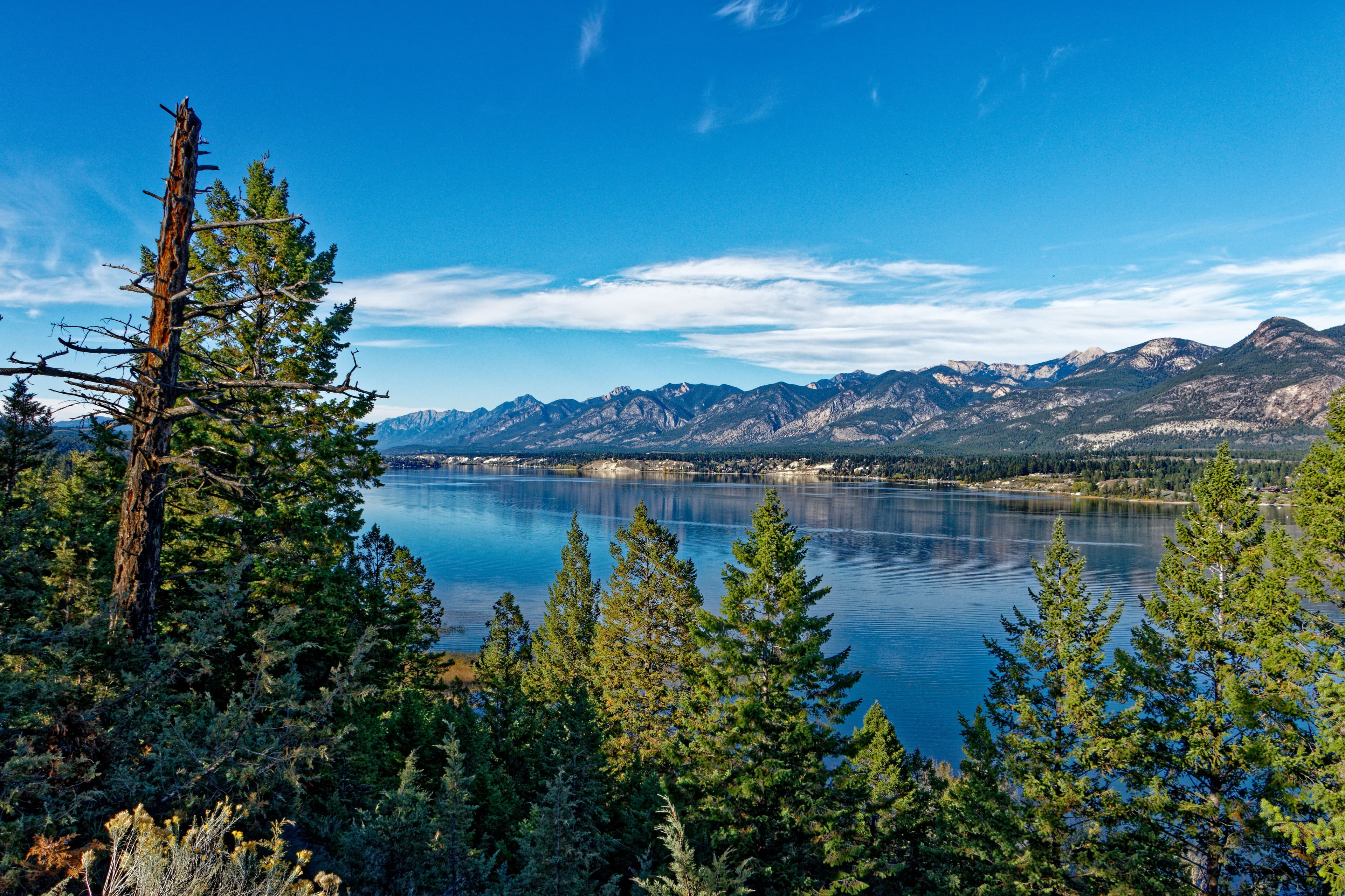 Windermere lake with a surrounding of trees and mountains off into the distance