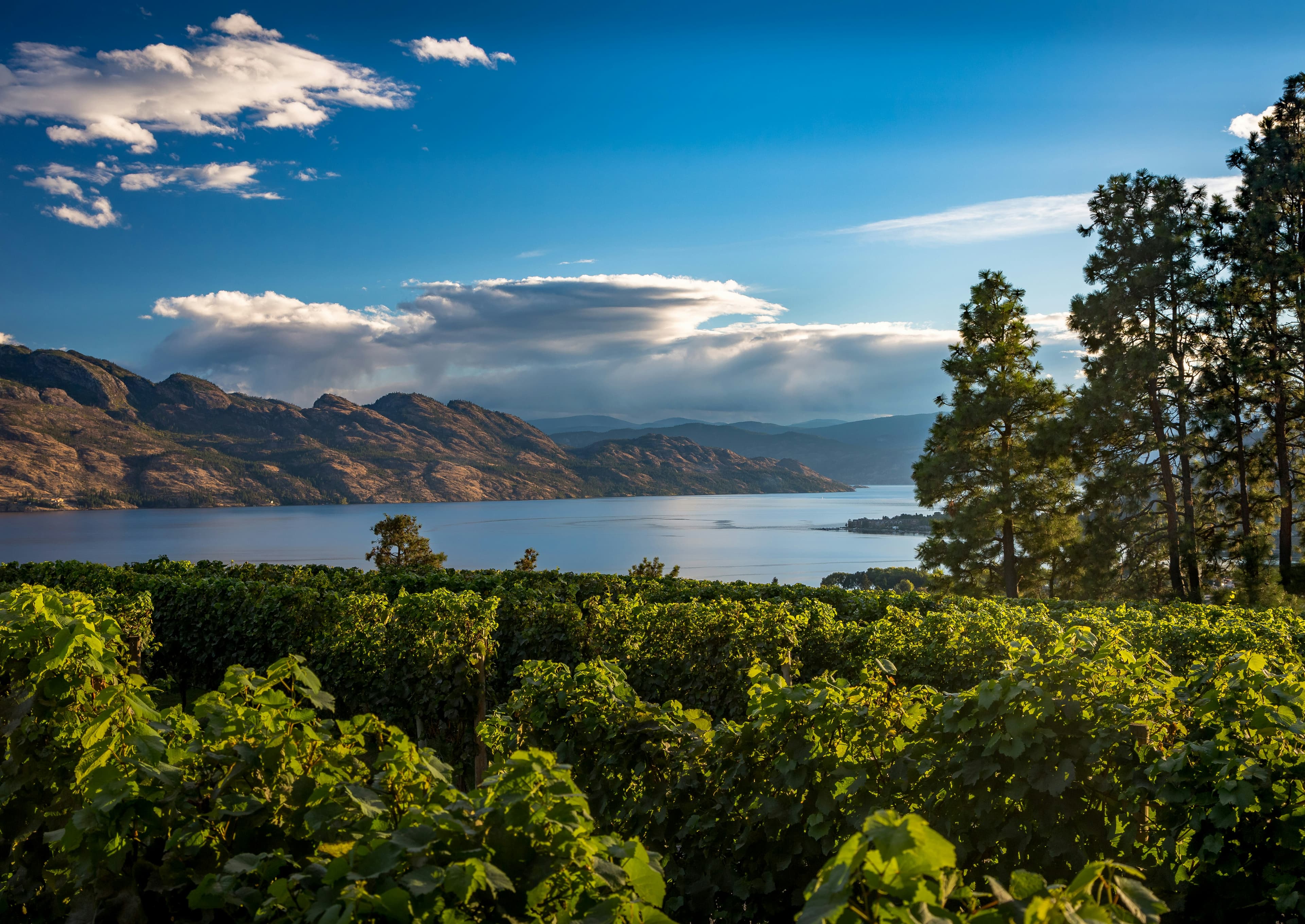 Mission Hill winery with a view of the Okanagan Lake