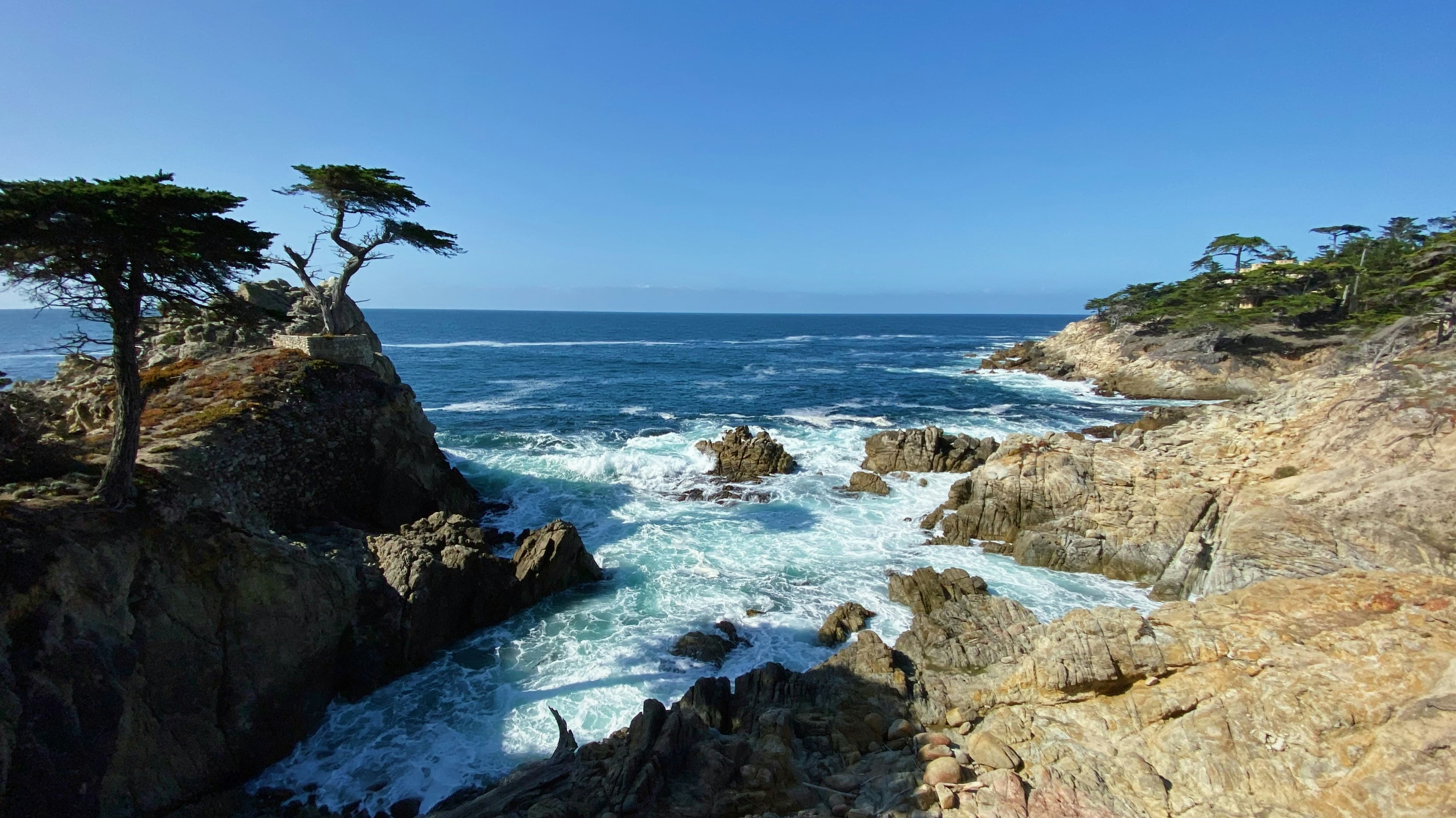 Waves crashing into the rocky shore of Ucluelet with a tree in the foreground