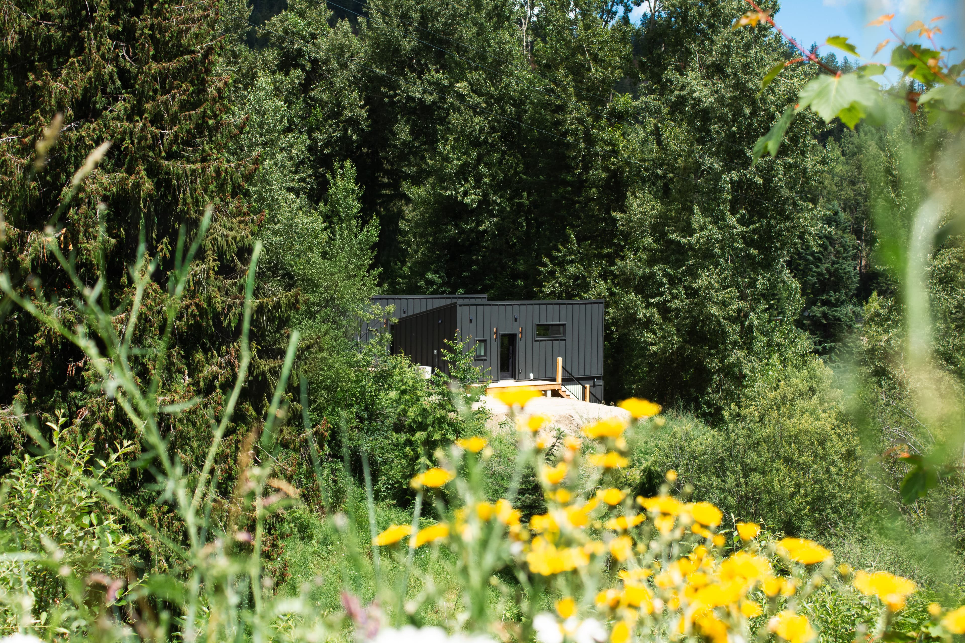 The Decent - Tinwood Cabins